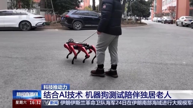 ” 看机械狗如何在南极“上班”qmh球盟会亚博能运输能“开路(图4)